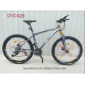 (LY-C-629) Fat Bike with New Design